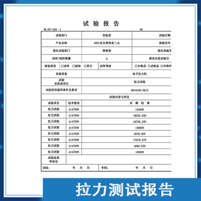 拉力测试报告